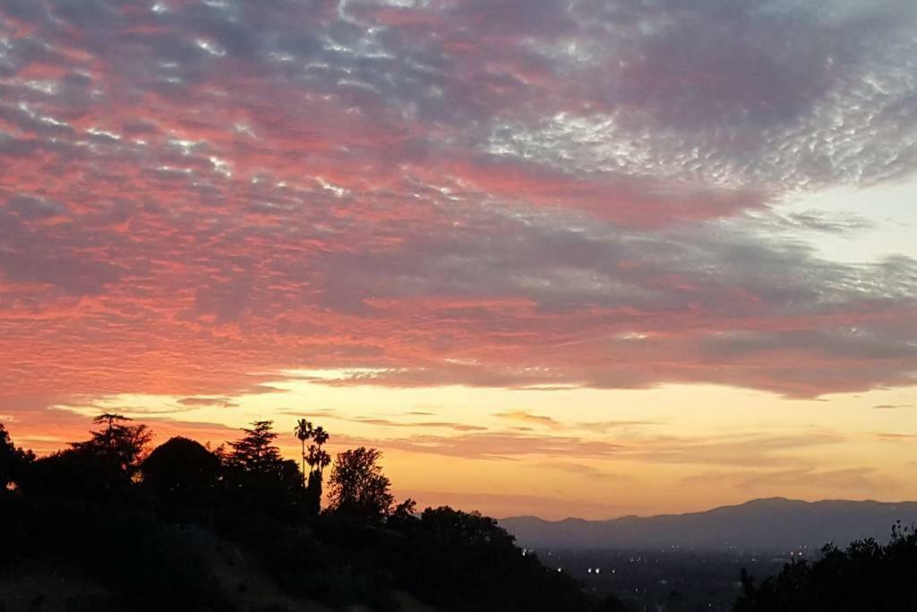 Modern Guest House Nestled In The Hollywood Hills With Huge Deck And Wow Views!ロサンゼルス エクステリア 写真